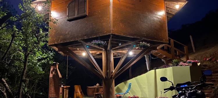 巴比伦的悬挂花园(Jardim Suspenso da Babilônia)图片