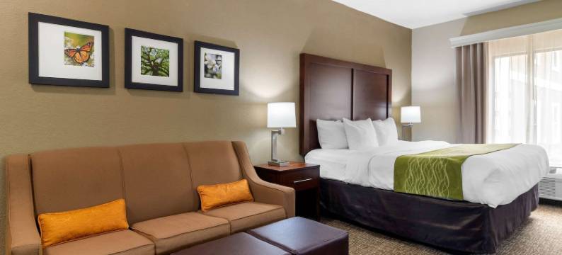 舒适套房酒店(Comfort Inn & Suites)图片