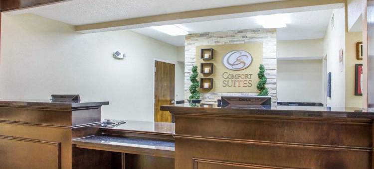 舒适套房酒店(Comfort Suites)图片