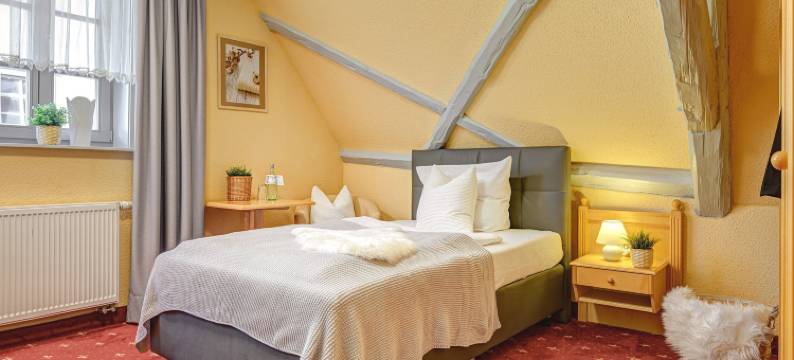 缪尔豪瑟霍夫酒店(Hotel Mühlhäuser Hof)图片