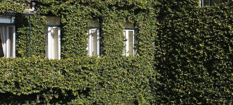 哈尼拉斯绿意酒店 - 里斯本古迹精选(As Janelas Verdes Inn - Lisbon Heritage Collection - Riverside)图片