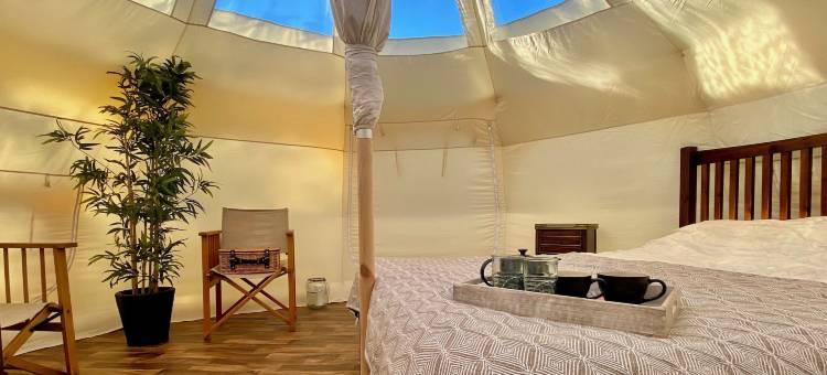 星光帐篷2(Stargazer Tent 2)图片