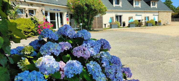 蓝帆酒店餐厅(Hôtel Restaurant la Voile Bleue)图片