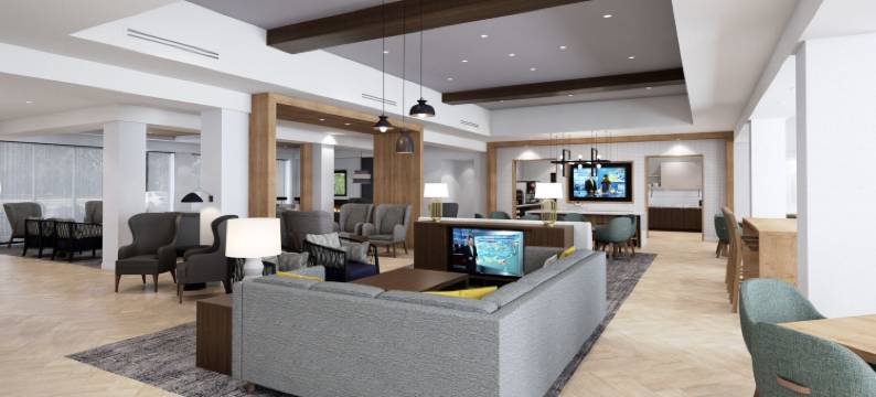 威廉斯维尔 - 布法罗驻桥套房酒店(Staybridge Suites WILLIAMSVILLE - BUFFALO by IHG)图片