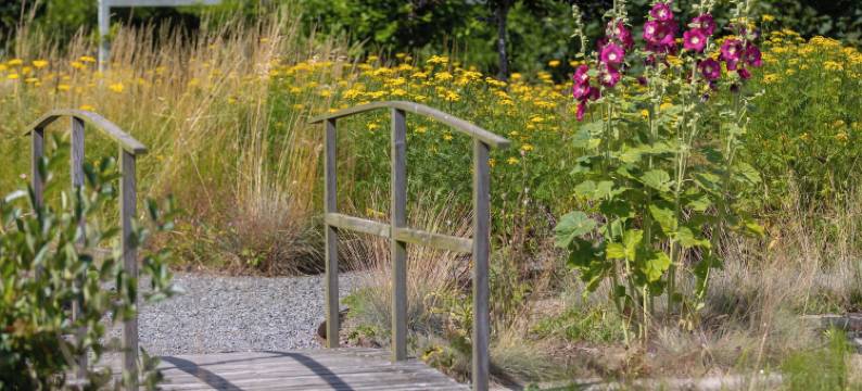 奥罗姆斯尼加德农场酒店(Örums Nygård Gårdshotell)图片