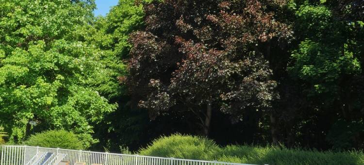 康瑞公园乡间别墅美居酒店(Mercure Parc du Coudray Demeures de Campagne)图片