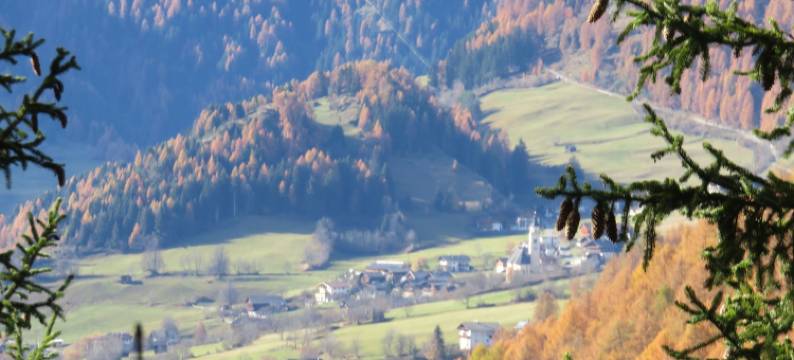赛德拉切霍夫酒店(Gästehaus Zedlacherhof)图片