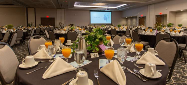 锡达福尔斯希尔顿花园酒店(Hilton Garden Inn Cedar Falls)图片