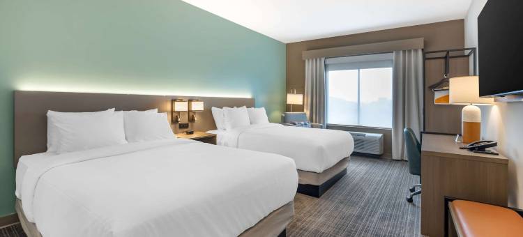 舒适酒店及套房(Comfort Inn & Suites)图片