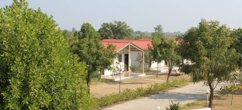 小兰恩度假村(Little Rann Resort)图片