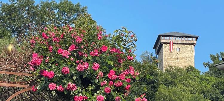 米特尔卡尔登民宿(Bed and Breakfast Mittelkarnten)图片