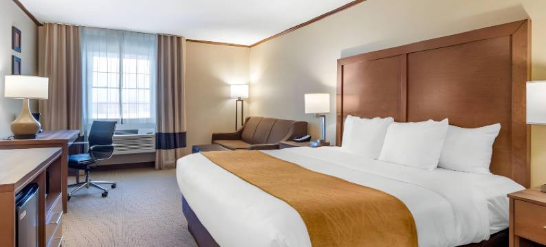 锡代利亚站舒适酒店(Comfort Inn Sedalia Station)图片