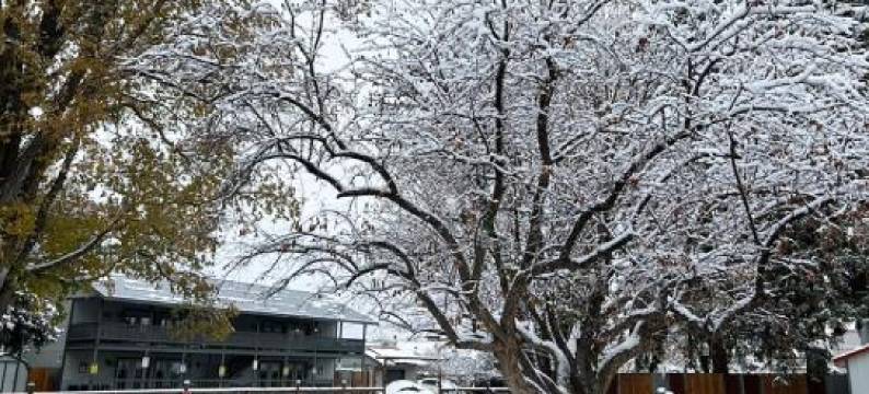 希尔林沃特斯水疗度假酒店(Healing Waters Resort and Spa)图片