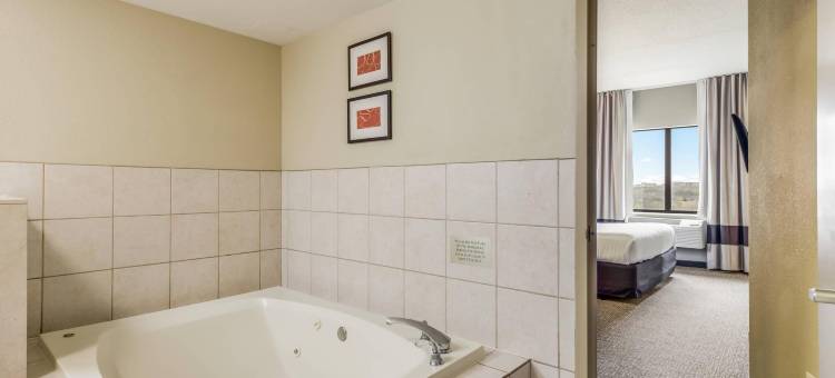 芝加哥奥黑尔机场舒适套房酒店(Comfort Suites Chicago O'Hare Airport)图片