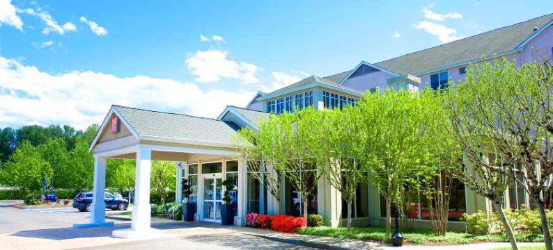 伦顿西雅图希尔顿花园酒店(Hilton Garden Inn Seattle/Renton)图片