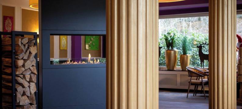 瓦尔德酒店熊石(Waldhotel Bärenstein)图片