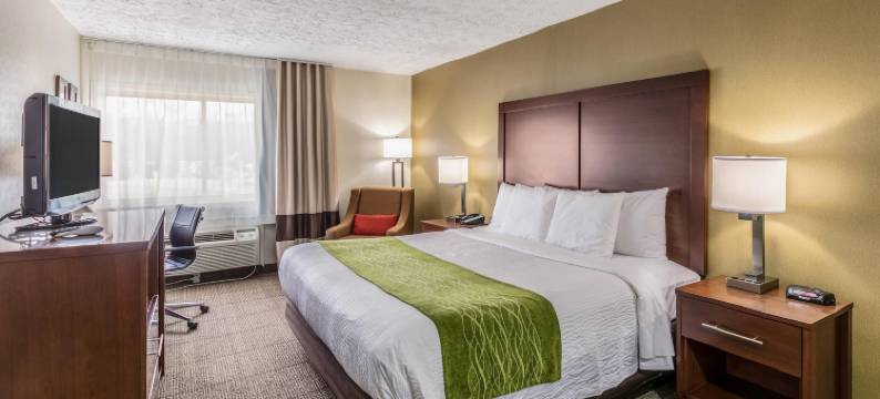 梅德福长岛舒适酒店(Comfort Inn Medford-Long Island)图片