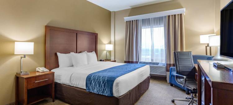 马丁斯堡舒适酒店(Comfort Inn Aikens Center)图片