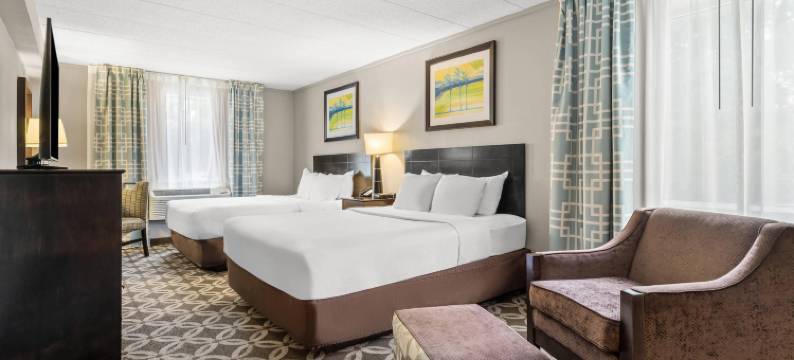 舒适酒店 - 雷赫波夫(Comfort Inn - Rehoboth)图片