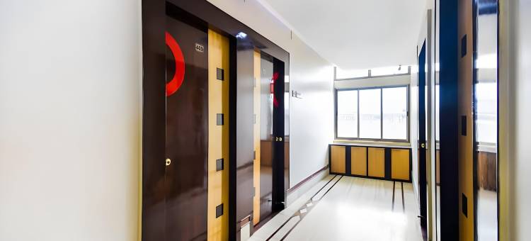 Super Collection O Meera International图片