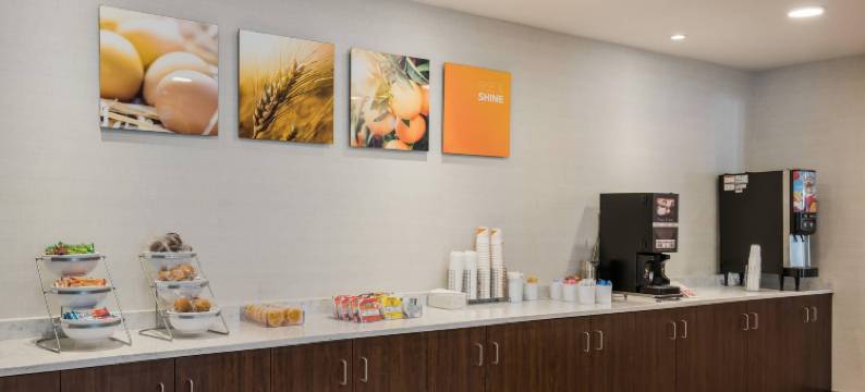 美茵斯坦套房酒店盖洛德(MainStay Suites Gaylord)图片