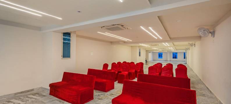 Treebo 绿橄榄(Treebo Green Olive)图片