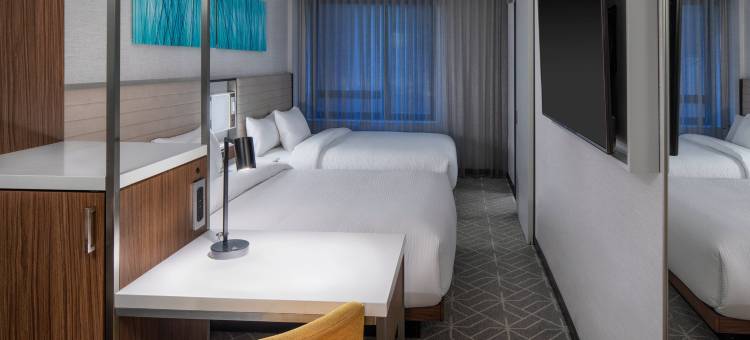 纽约曼哈顿／时代广场南 SpringHill Suites 酒店(SpringHill Suites New York Manhattan/Times Square South)图片