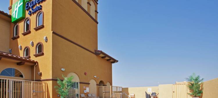 智选假日套房酒店柳树(Holiday Inn Express & Suites WILLOWS by IHG)图片