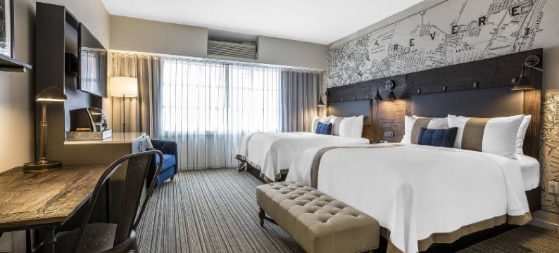 波士顿埃弗里特展望酒店(EnVision Hotel Boston-Everett)图片