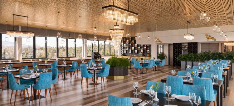 海湾海蓝宝石酒店(Gino Seaside Tbilisi, Trademark Collection by Wyndham)图片