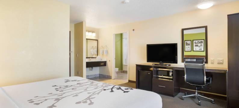 大急流城希尔顿Spark酒店(Spark by Hilton Grand Rapids)图片