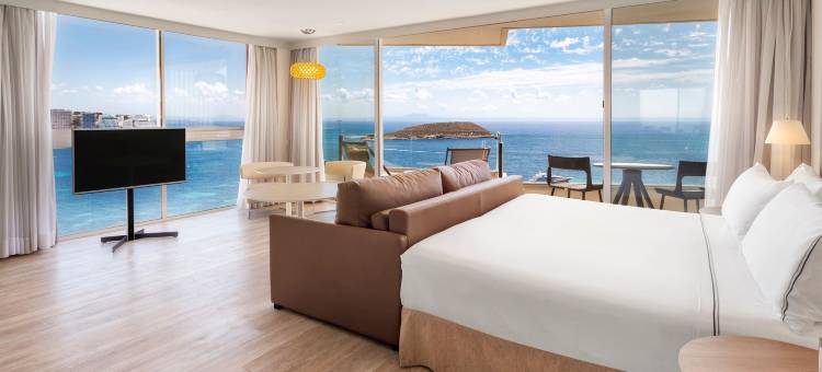 楝卡尔维亚比奇酒店(Meliá Calviá Beach)图片