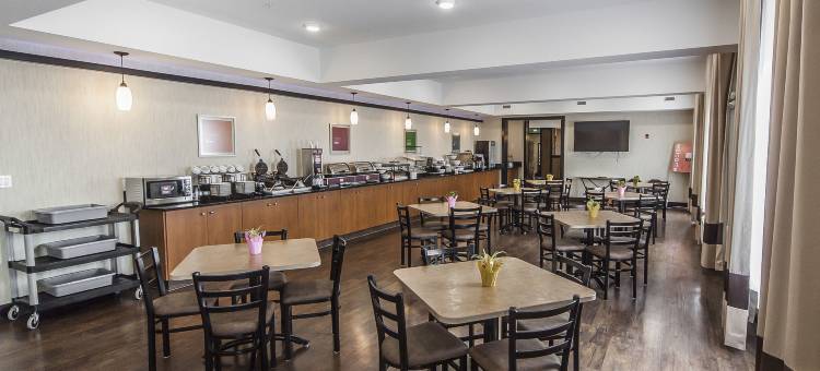 邦尼维尔舒适套房酒店(The Kanata Bonnyville)图片