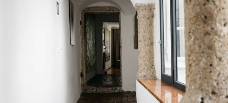 蓝骑士甘斯艺术酒店(ArtHotel Blaue Gans)图片