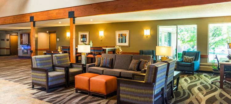 西部舒适酒店(Comfort Inn West)图片