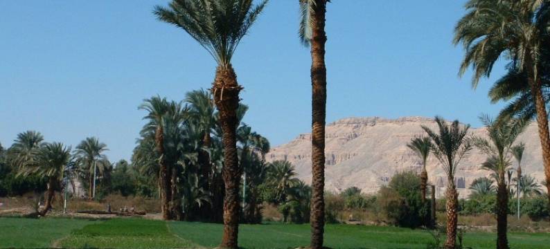 甜蜜的家卢克索公寓酒店(Home Sweet Home Luxor Apartments)图片