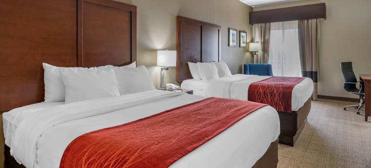 舒适酒店汉堡区 / I-75列克星敦(Comfort Inn Lexington I-75)图片