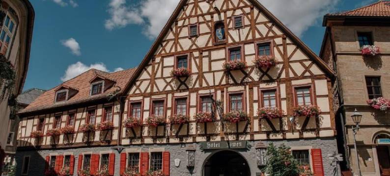 Löwen 酒店和餐厅(Löwen Hotel & Restaurant)图片