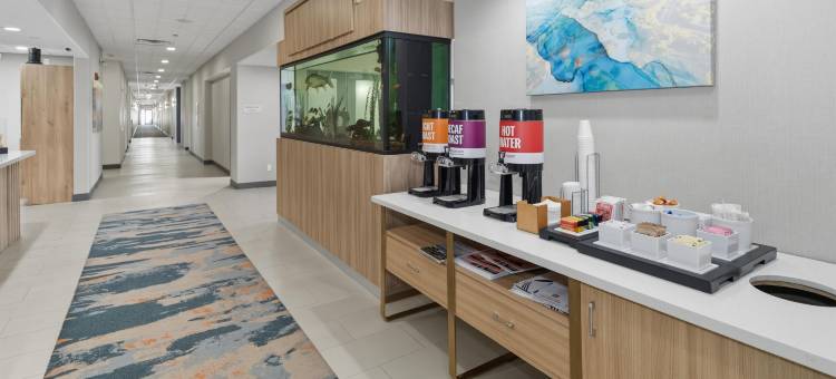 希尔顿欢朋酒店-法尔(Hampton Inn & Suites Pharr)图片