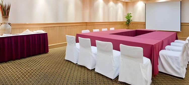 拉皮达德假日酒店(Holiday Inn LA PIEDAD by IHG)图片