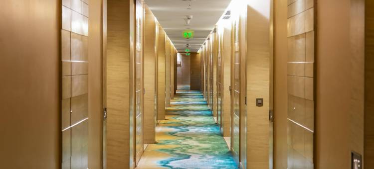 德里NCR-卡萨比塔丽笙蓝标酒店(Radisson Blu Towers Kaushambi Delhi NCR)图片
