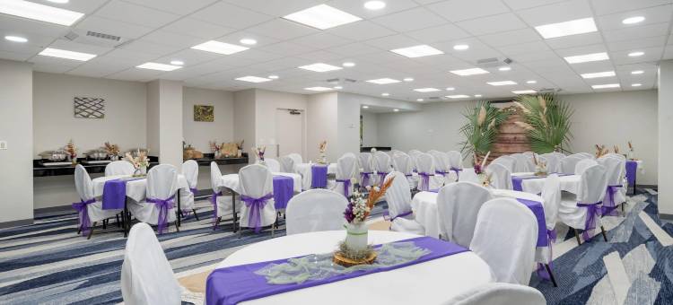 新奥尔良机场北舒适酒店及套房(Comfort Inn & Suites New Orleans Airport North)图片