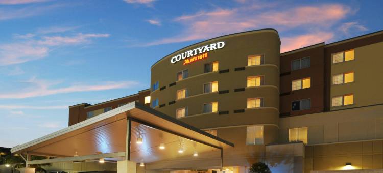 休斯顿皮尔兰万怡酒店(Courtyard Houston Pearland)图片