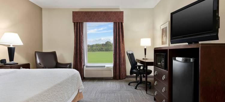 不伦瑞克欢朋套房酒店(Hampton Inn & Suites Brunswick)图片