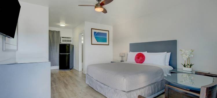 Leeward汽车旅馆由Capital O北迈阿密海滨(Leeward Motel By Capital O North Miami Beachside)图片