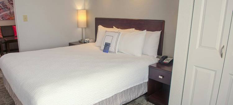 休斯敦皮尔兰SpringHill Suites酒店(SpringHill Suites Houston Pearland)图片