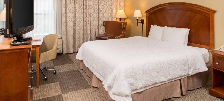 圣安东尼奥石橡树希尔顿欢朋酒店(Hampton Inn San Antonio Stone Oak)图片