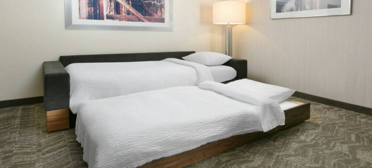 圣安东尼奥西北里姆SpringHill Suites酒店(SpringHill Suites San Antonio Northwest at the Rim)图片