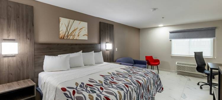 麦卡伦法尔红顶酒店(Red Roof Inn Pharr - McAllen)图片