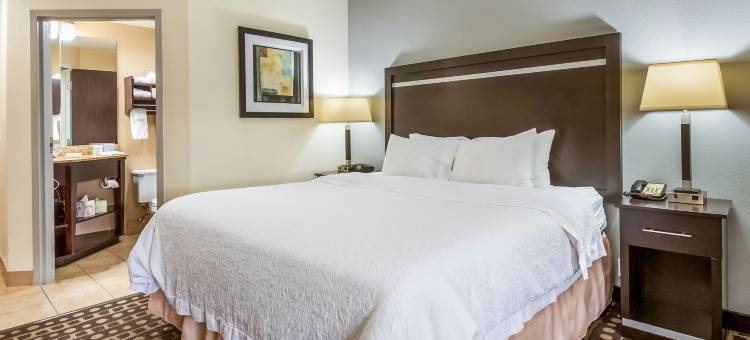 希尔顿欢朋酒店-西哥伦布(Hampton Inn Columbus-West)图片
